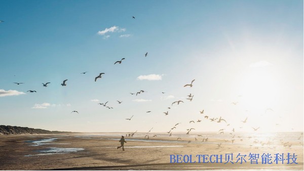 带你了解BEOL青岛贝尔智能科技有限公司的液氮罐2022.1.18