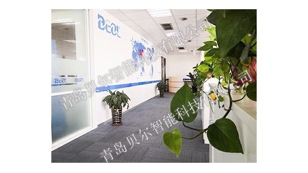 BEOL青岛贝尔智能科技组织公司网络销售部参加单仁资讯培训2021.10.28