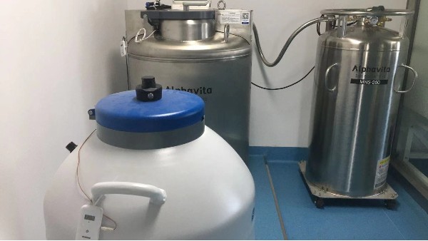 BEOL贝尔科技为实验室方案选择合适的液氮罐23.8.30