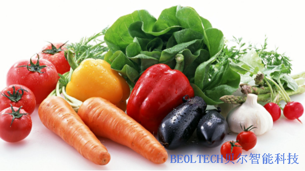 反季节蔬菜安装BEOL贝尔科技温湿度监控设备的必要性22.2.14