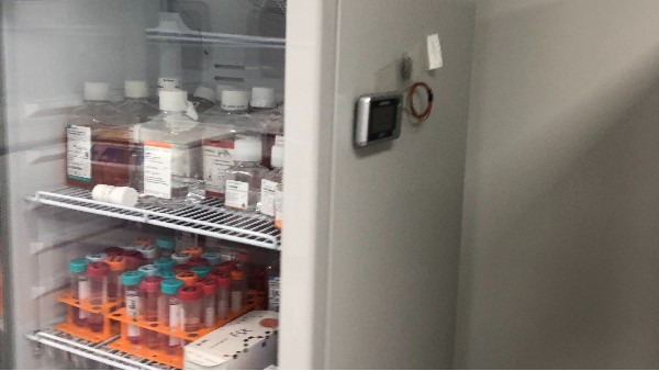 作为管理者是否知道样本温湿度波动的趋势变化?如何靠谱的存储样本呢?26.5.20